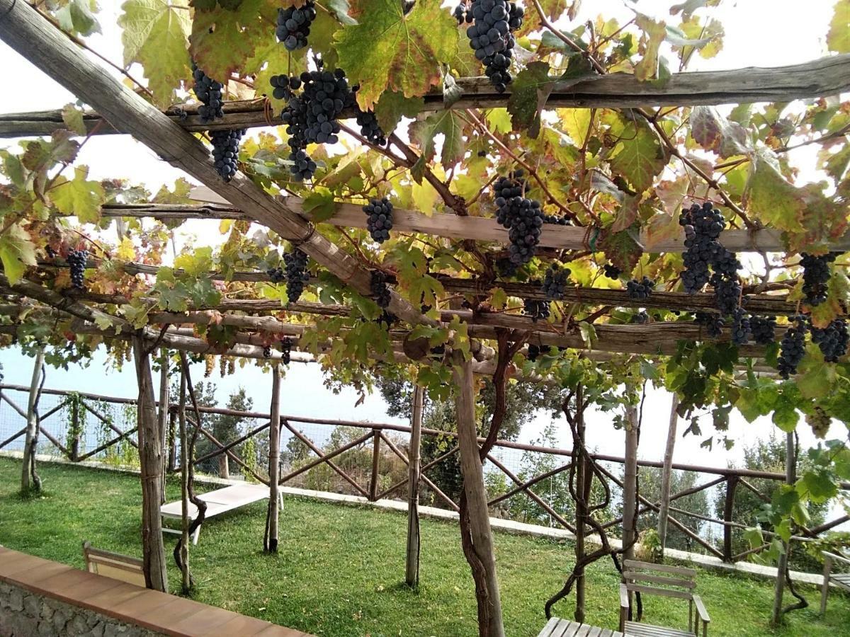 Residence Pizzo Corvo Furore Εξωτερικό φωτογραφία
